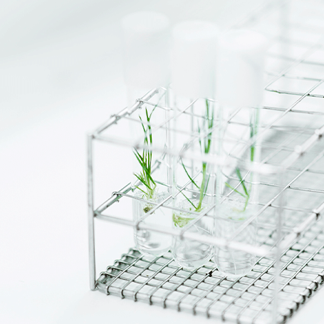Biotechnologie et cosmétique : l’innovation au cœur du végétal
