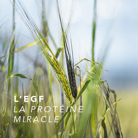 BIOEFFECT : L'EGF, la protéine miracle